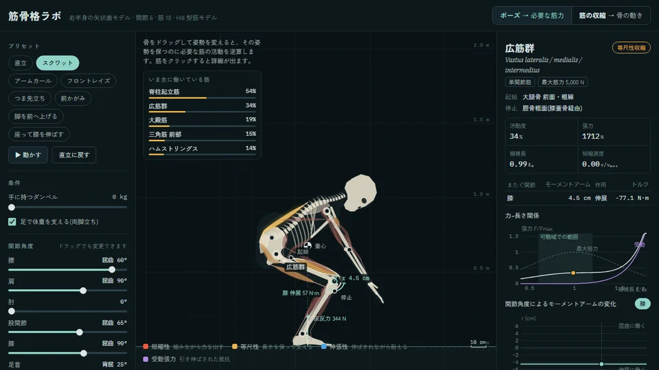 筋骨格ラボのゲーム画面